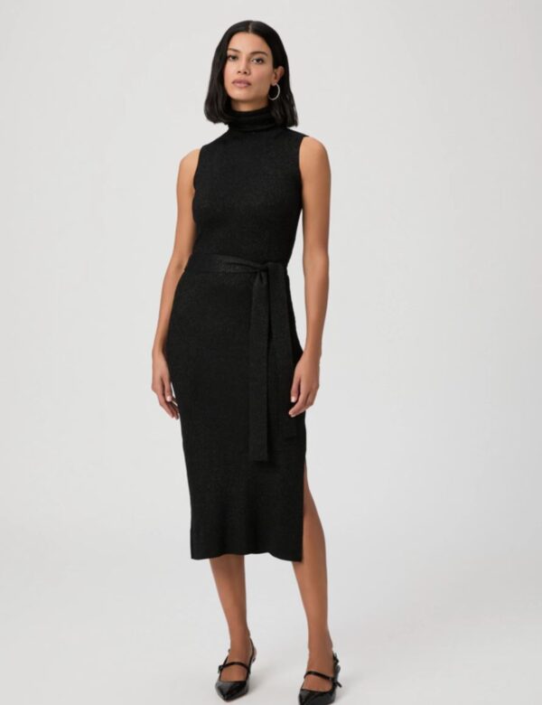 Paige Rib Zoelle Dress in Black Sparkle